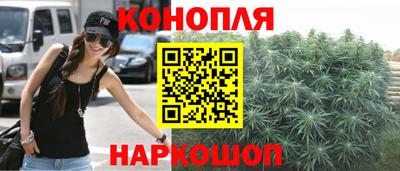 дживик Гатчина