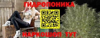 прущие крисы Гагарин