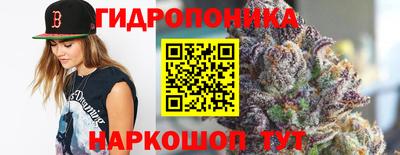 mdma Гай