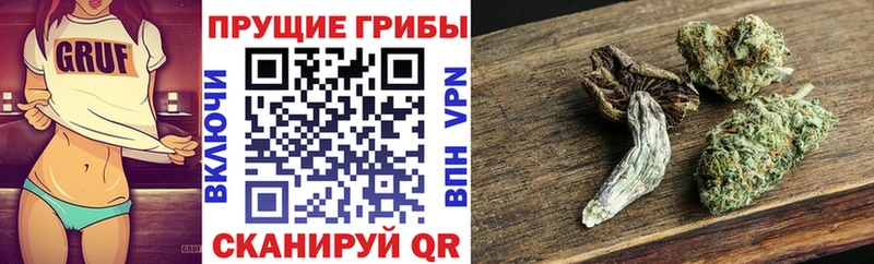 Псилоцибиновые грибы Magic Shrooms Камышин