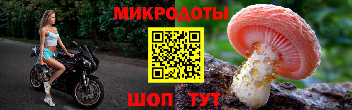 Псилоцибиновые грибы GOLDEN TEACHER  Вход с VPN  магазин продажи   Камышин 