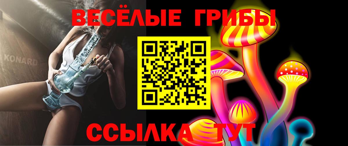 Псилоцибиновые грибы мухоморы Камышин